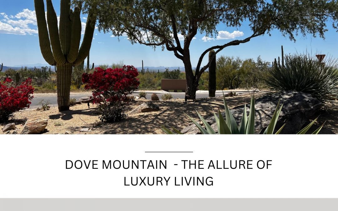 Dove Mountain – The Allure of Luxury Living